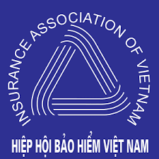 Quy chế tài chính của Hiệp hội Bảo hiểm Việt Nam (sửa đổi, bổ sung năm 2018)